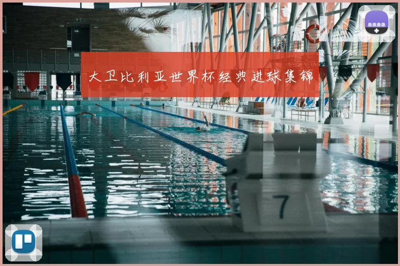 大卫比利亚世界杯经典进球集锦