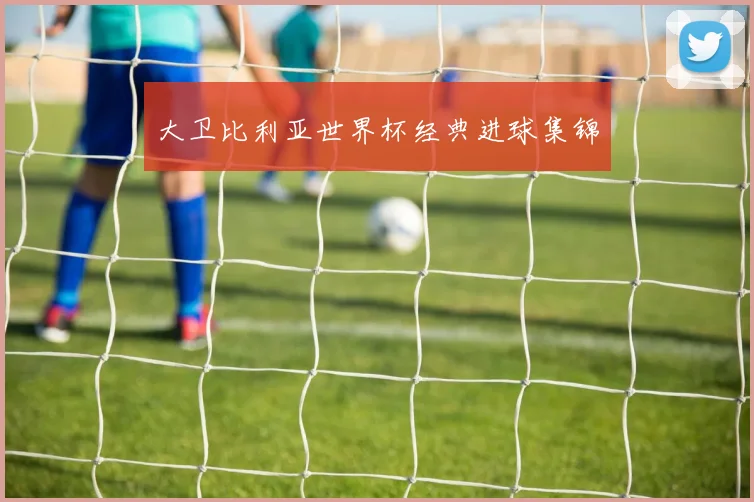 大卫比利亚世界杯经典进球集锦