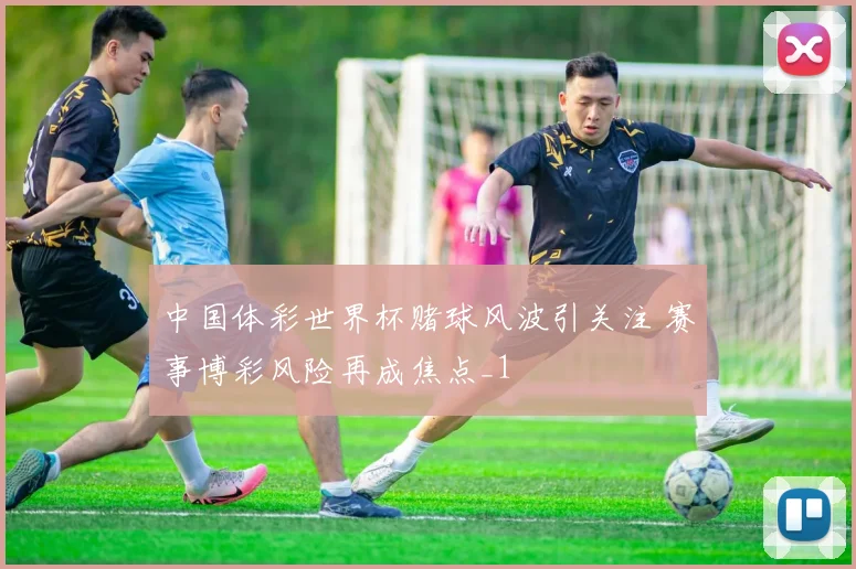 中国体彩世界杯赌球风波引关注 赛事博彩风险再成焦点_1