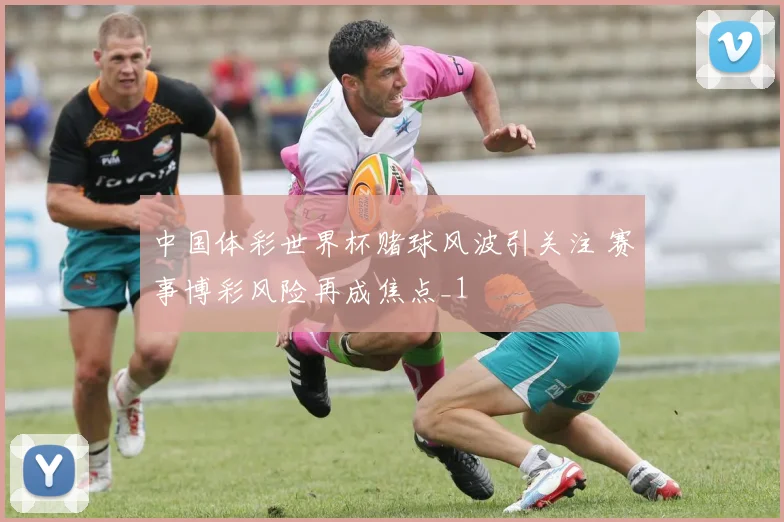 中国体彩世界杯赌球风波引关注 赛事博彩风险再成焦点_1
